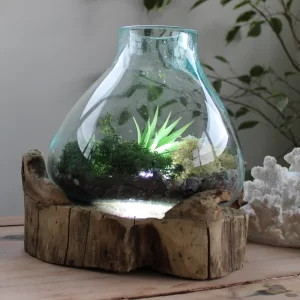 glass on wood