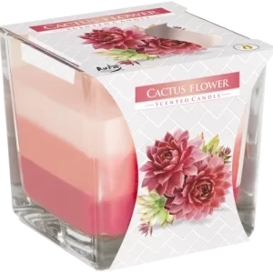 rainbow candle_cactus flower
