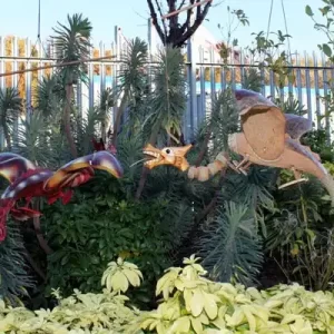 coconut dragon